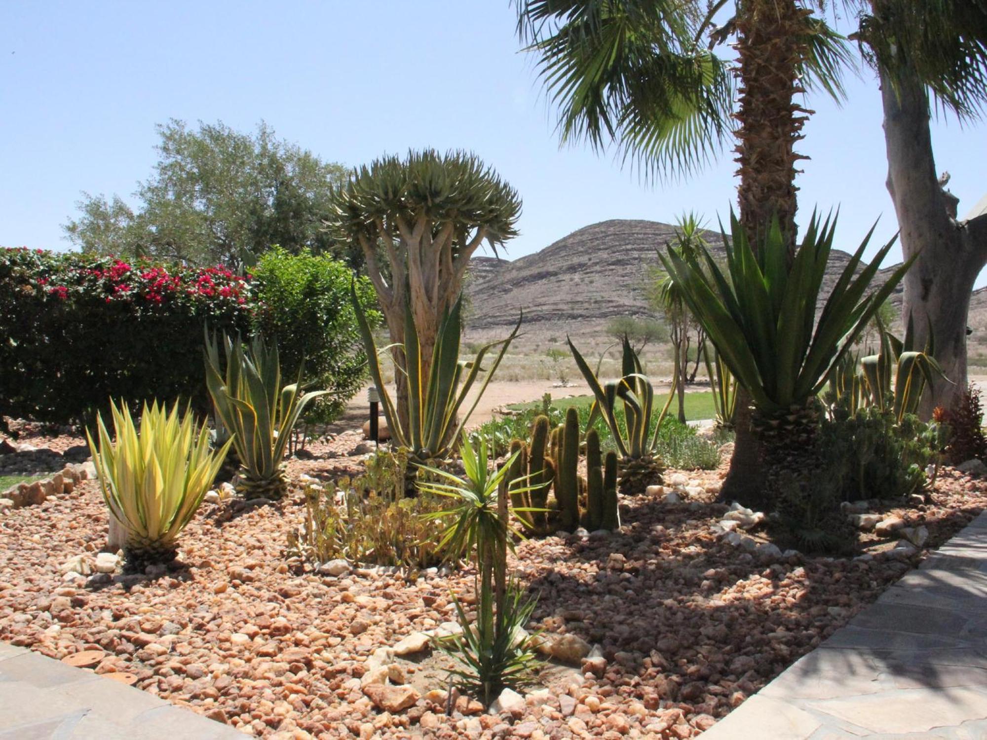 Rooisand Desert Ranch Chausib Rom bilde