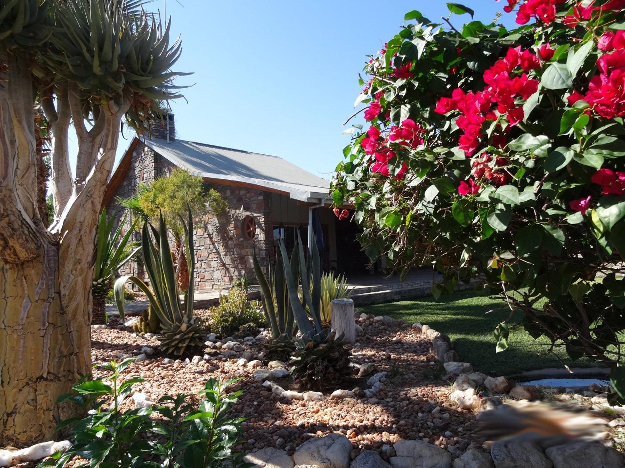 Rooisand Desert Ranch Chausib Rom bilde